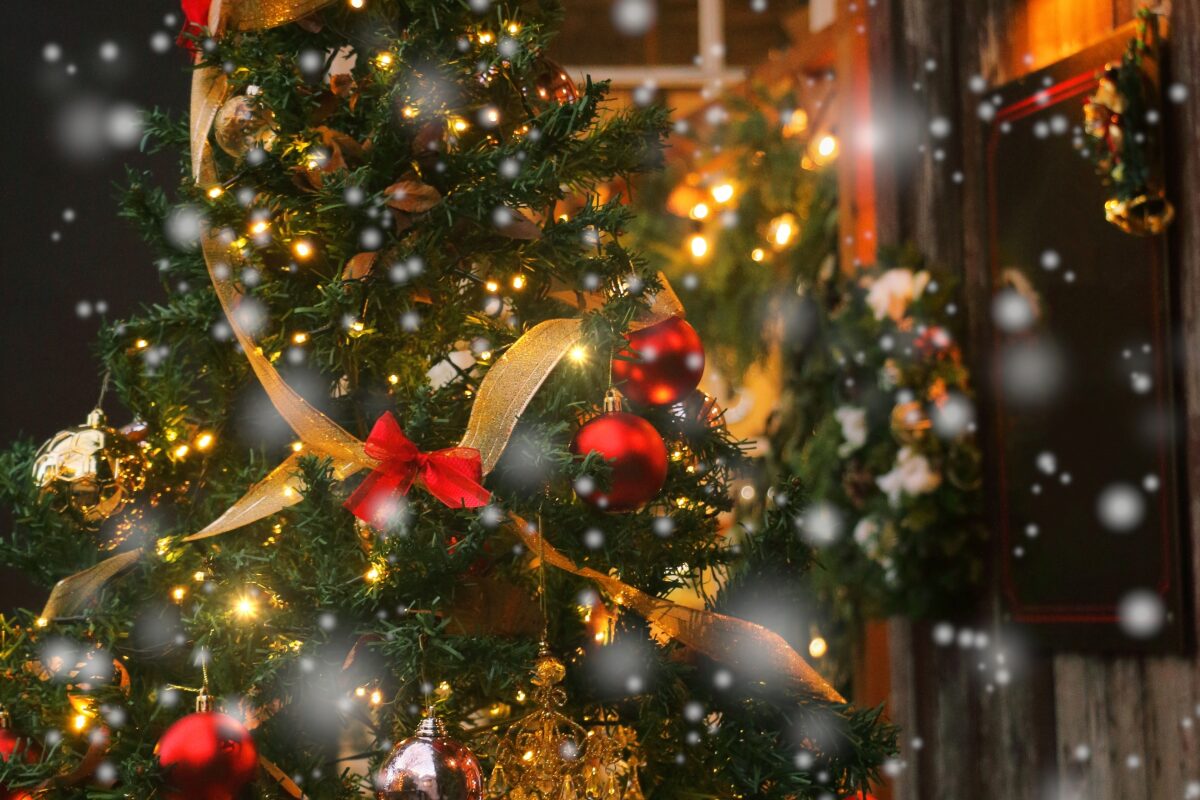 クリスマスツリーの画像